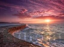 果冻传媒麻豆最新视频-跃动界限，果冻传媒麻豆最新视频新品鉴赏